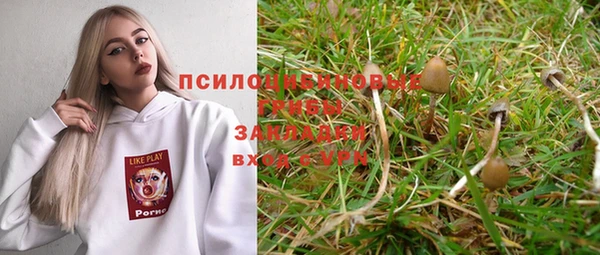 метадон Арсеньев