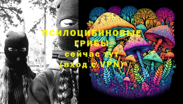 метадон Арсеньев