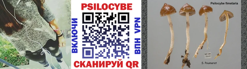 Галлюциногенные грибы Psilocybine cubensis  где купить наркоту  Краснотурьинск 